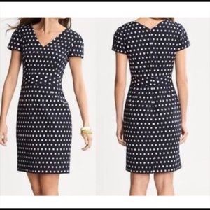Banana Republic | Polka Dot V Neck Dress